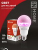 Лампа A60-ФИТО 15W/E27 IN HOME